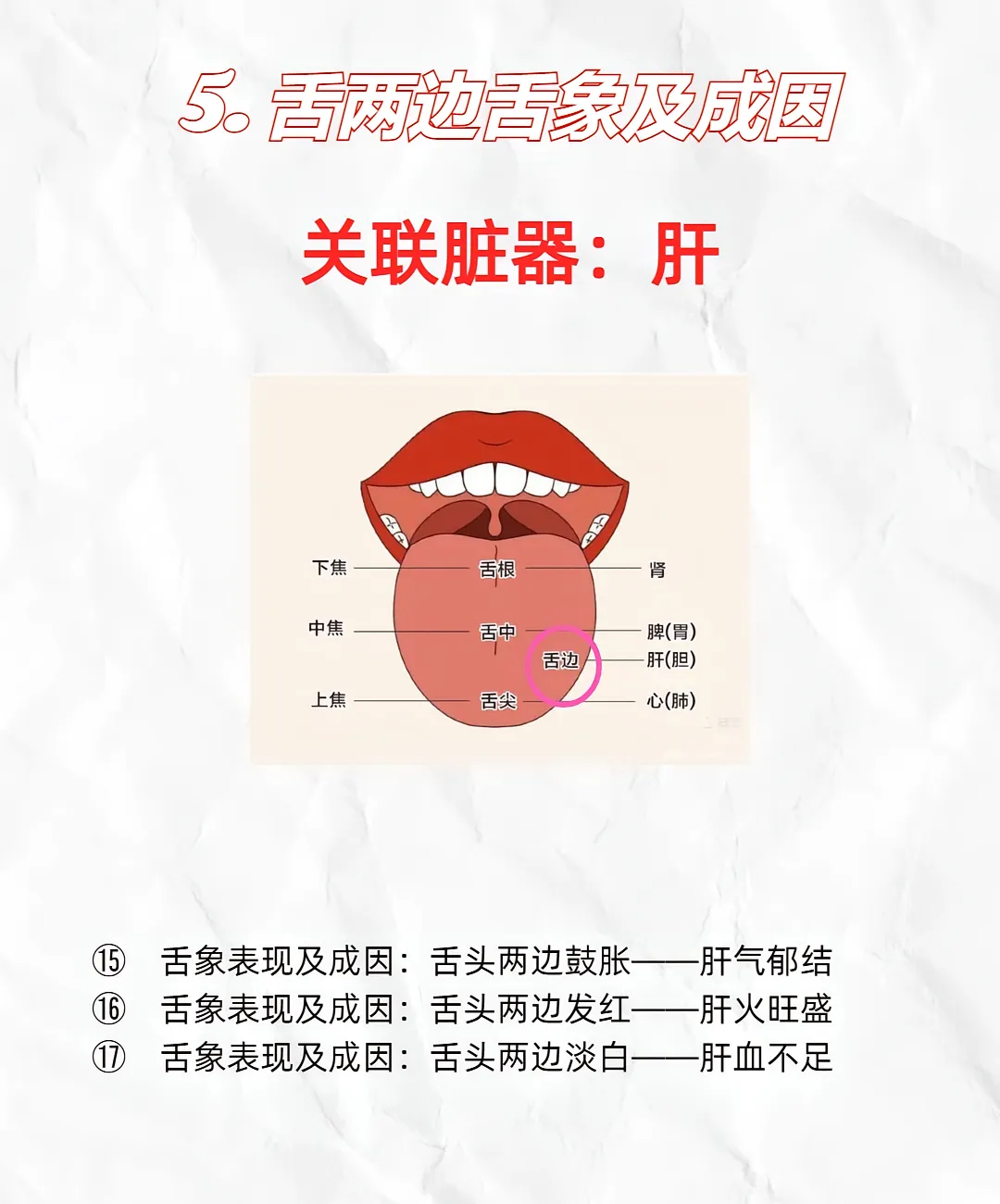 cc02ae5c814c649a402a69775674cdc2.jpg