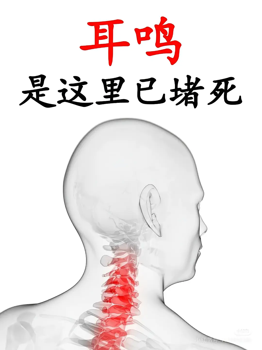 a878352ad33d3de9ee5c86e48775b02f.jpg