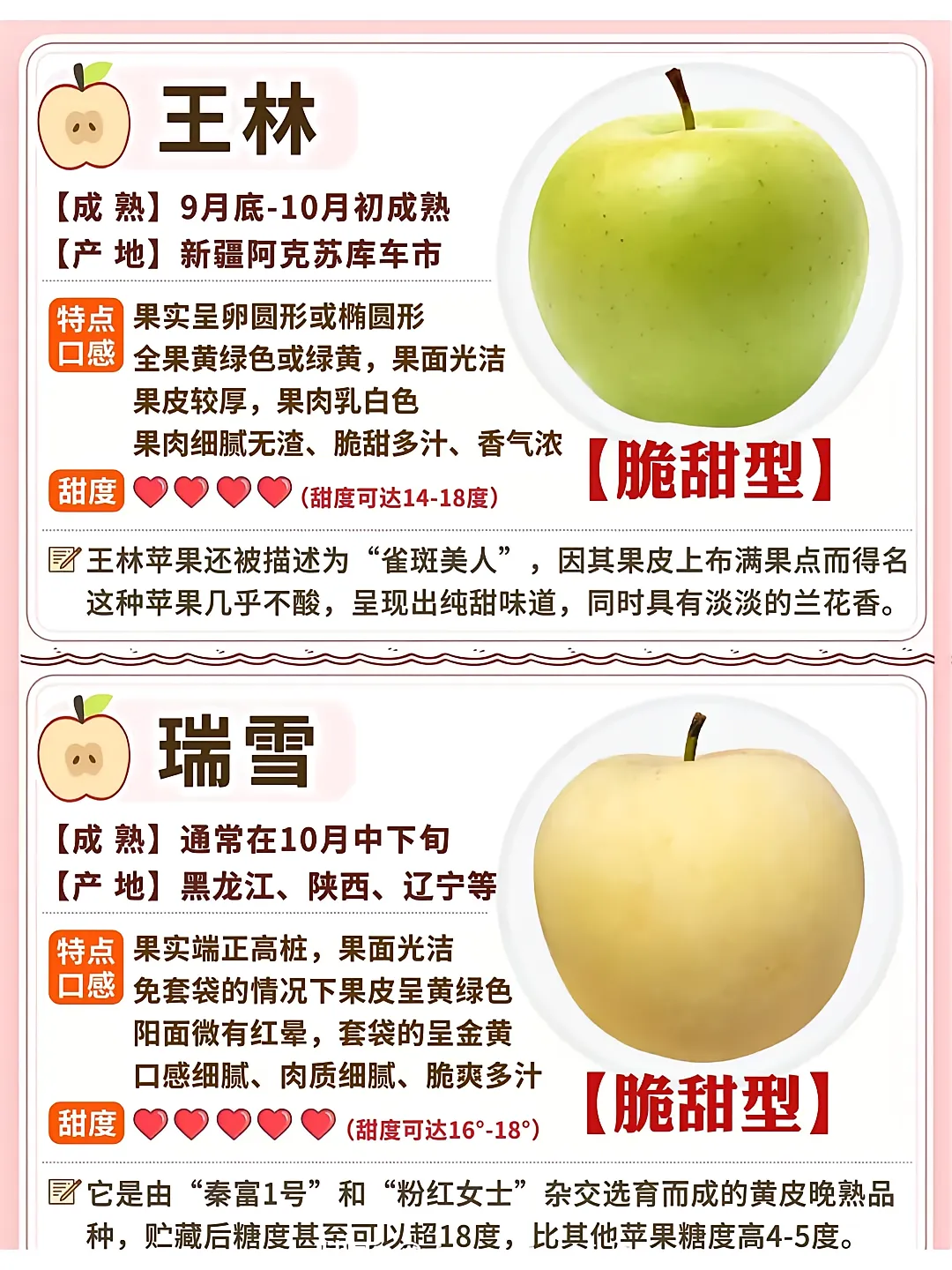 ae173c290f3961adddfacb5ed5bfcbaa.jpg