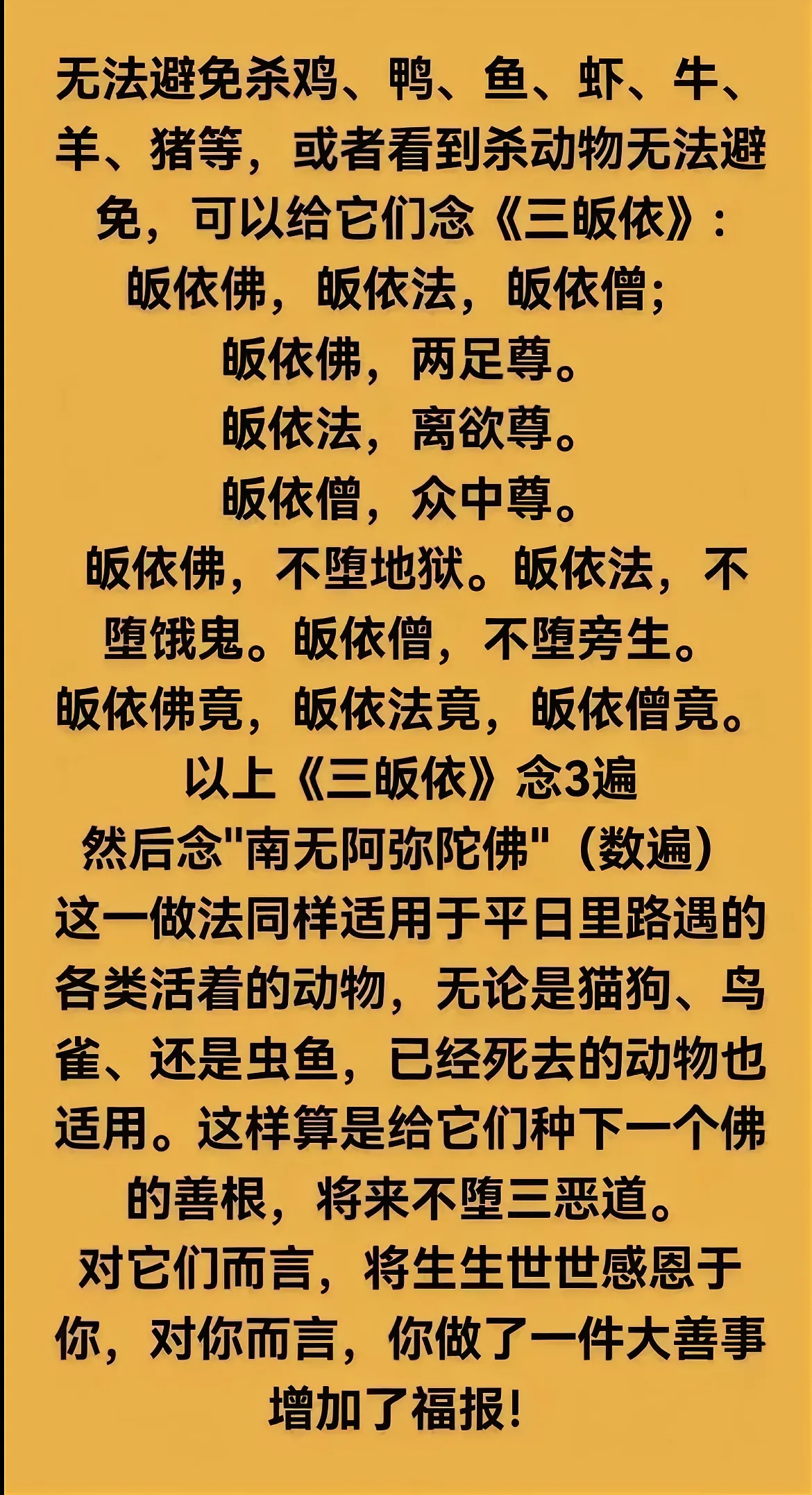 2f991736a390e12b32c73c27649bbda0.jpg