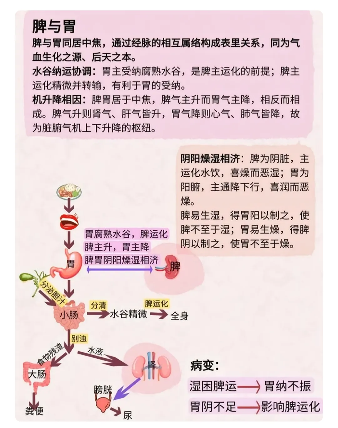 3ffcf4048a71ed425905279be1a75902.jpg